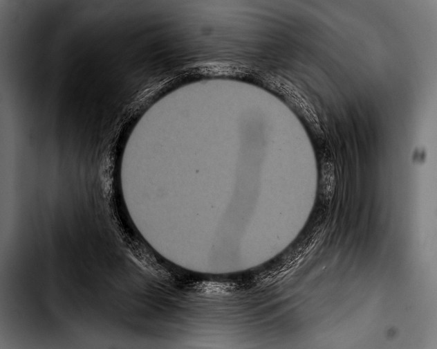 X0000103320255200810171408