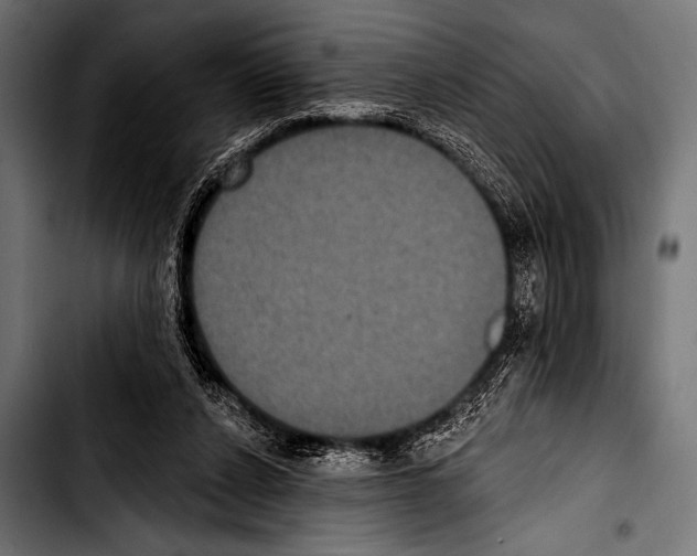 X0000103320256200810171408