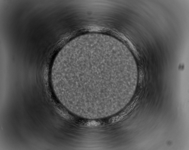 X0000103320257200810171408