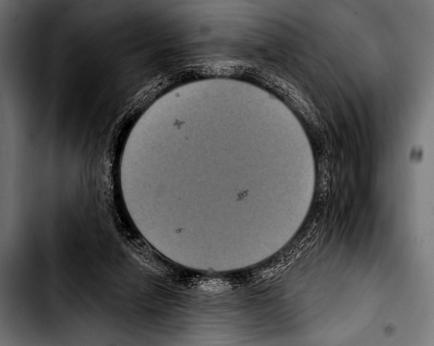 X0000103320258200810171408