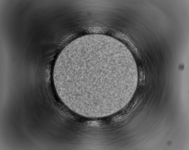 X0000103320259200810171408