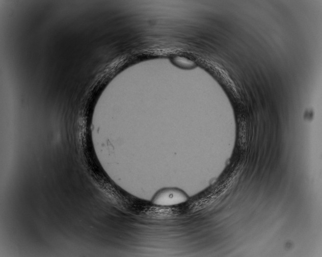 X0000103320260200810171408