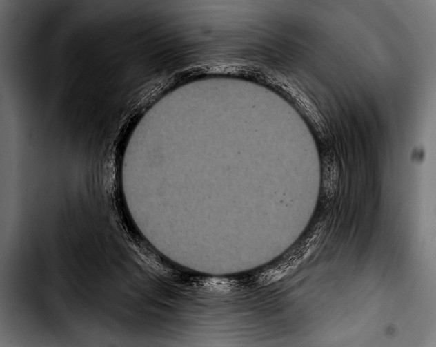 X0000103320261200810171408