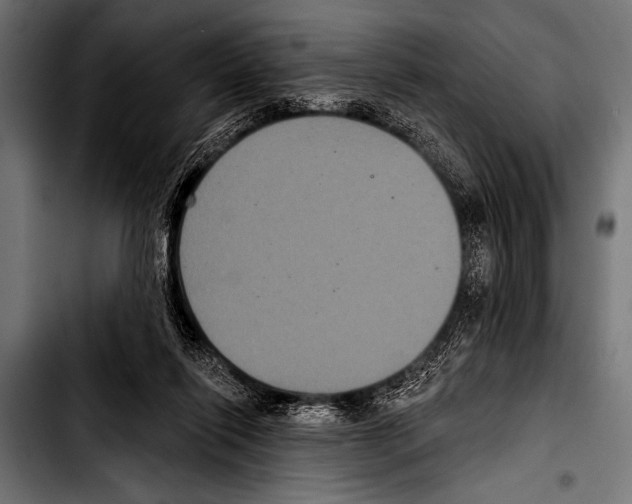 X0000103320262200810171408