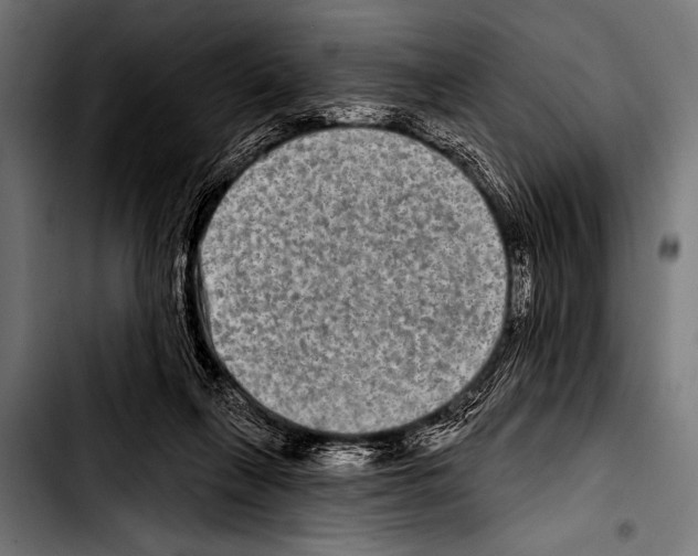 X0000103320263200810171408