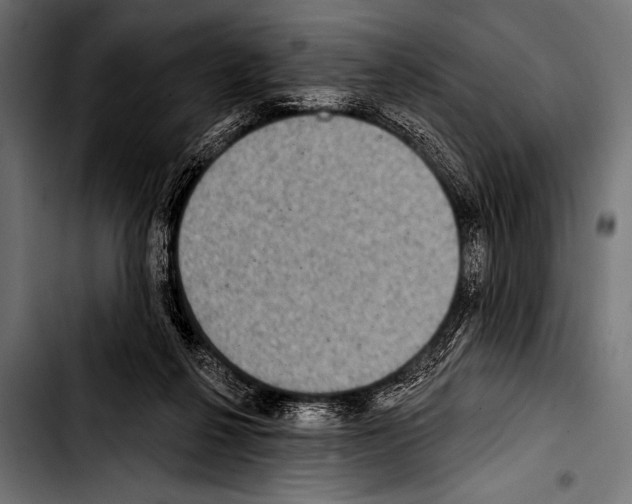 X0000103320264200810171408