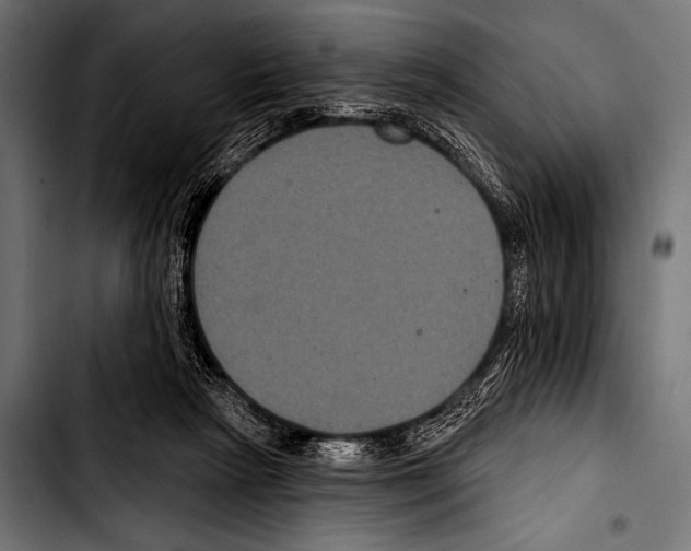 X0000103320265200810171408
