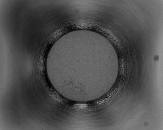 X0000103320266200810171408