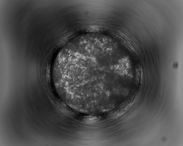 X0000103320267200810171408