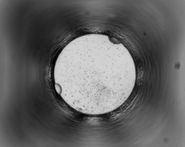 X0000103320268200810171408