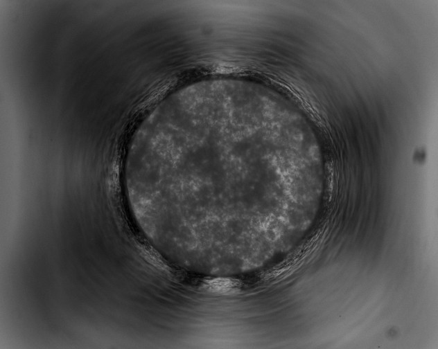 X0000103320269200810171408