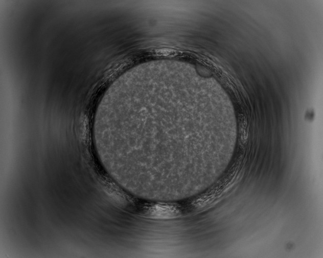 X0000103320270200810171408
