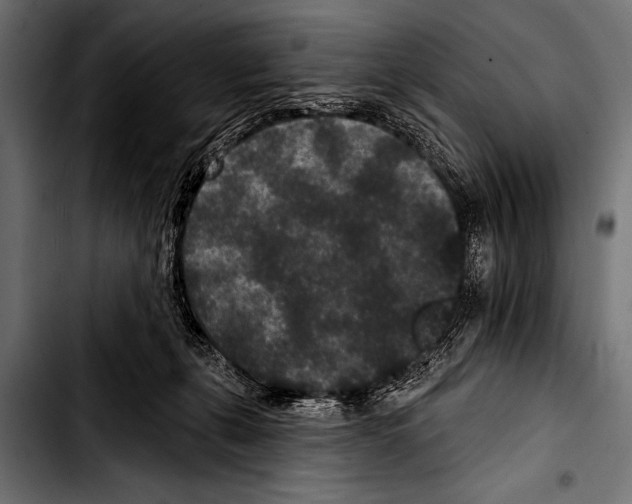 X0000103320271200810171408