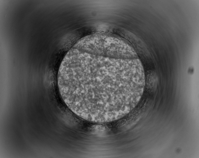 X0000103320272200810171408