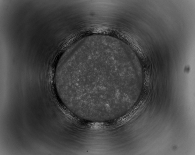 X0000103320273200810171408