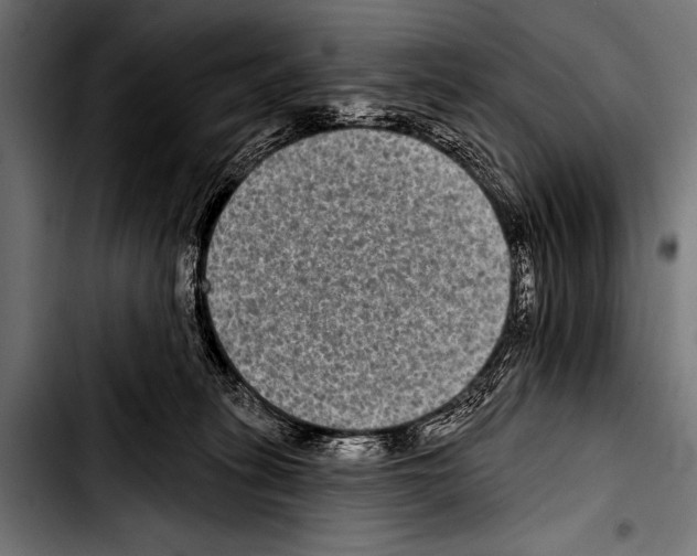 X0000103320275200810171408