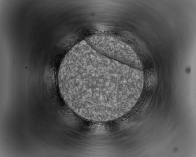 X0000103320276200810171408
