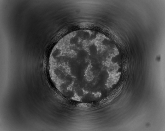 X0000103320277200810171408