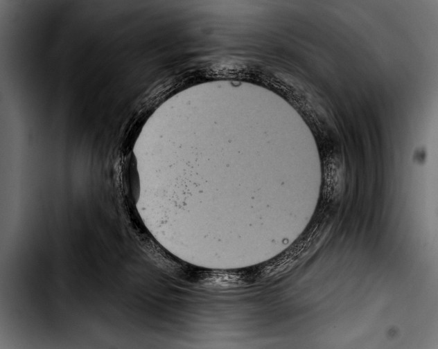 X0000103320278200810171408