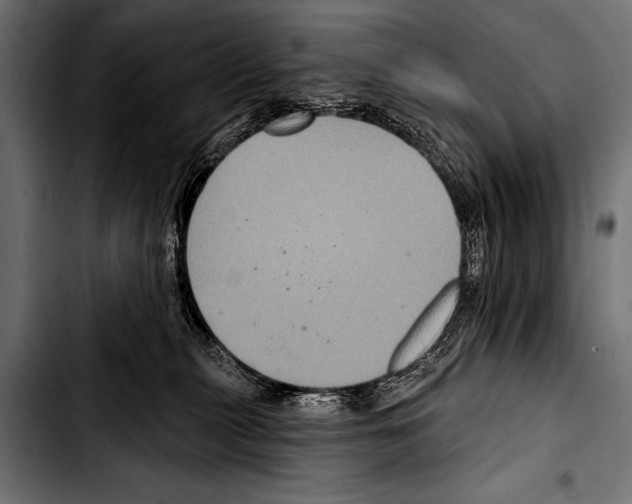 X0000103320279200810171408
