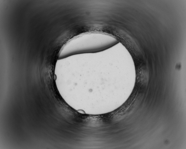 X0000103320280200810171408