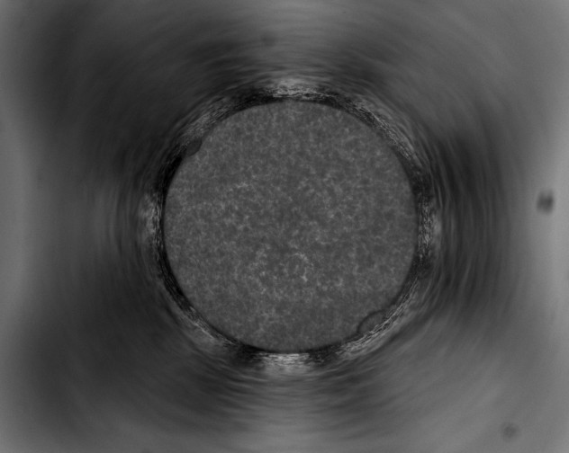 X0000103320281200810171408