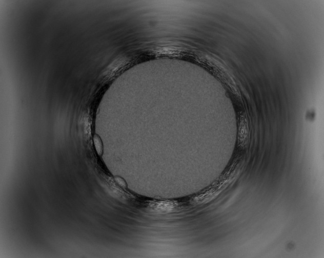 X0000103320282200810171408