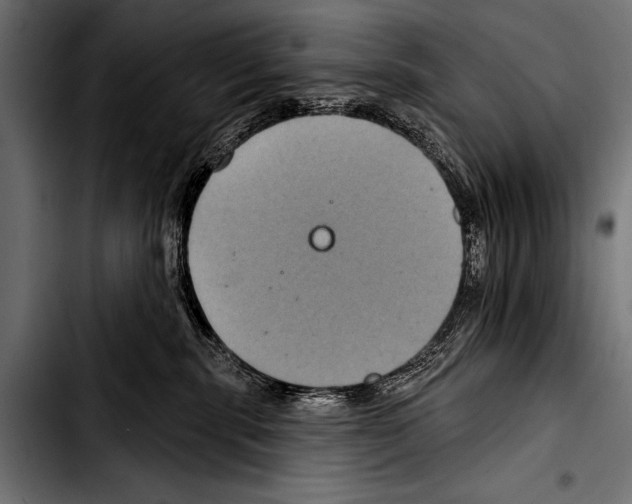 X0000103320283200810171408
