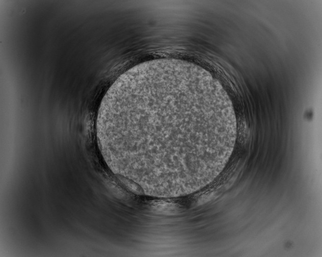 X0000103320284200810171408