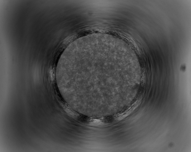 X0000103320285200810171408