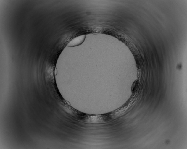 X0000103320286200810171408