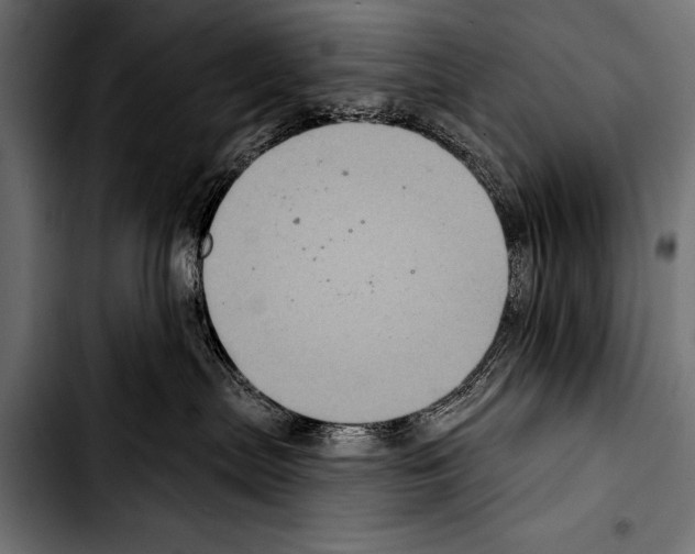 X0000103320287200810171408