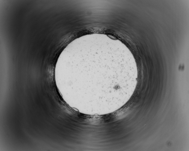 X0000103320288200810171408
