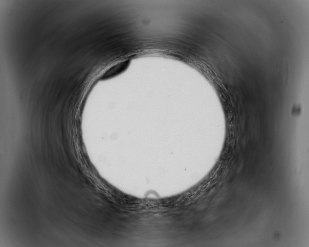X0000103320289200810171408