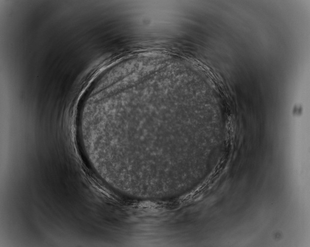 X0000103320290200810171408