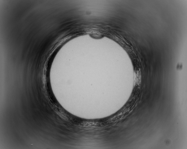 X0000103320291200810171408