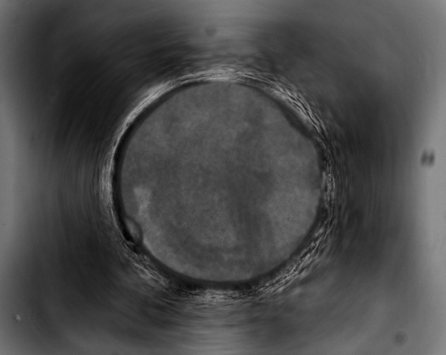 X0000103320292200810171408