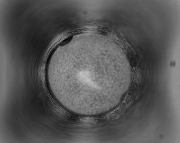 X0000103320293200810171408