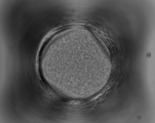X0000103320294200810171408