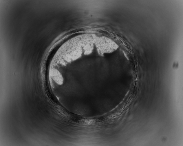 X0000103320295200810171408