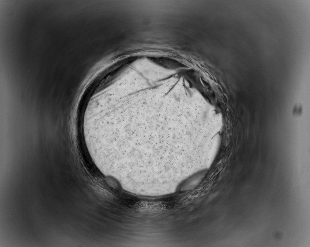 X0000103320296200810171408