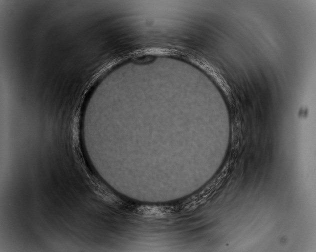 X0000103320297200810171408