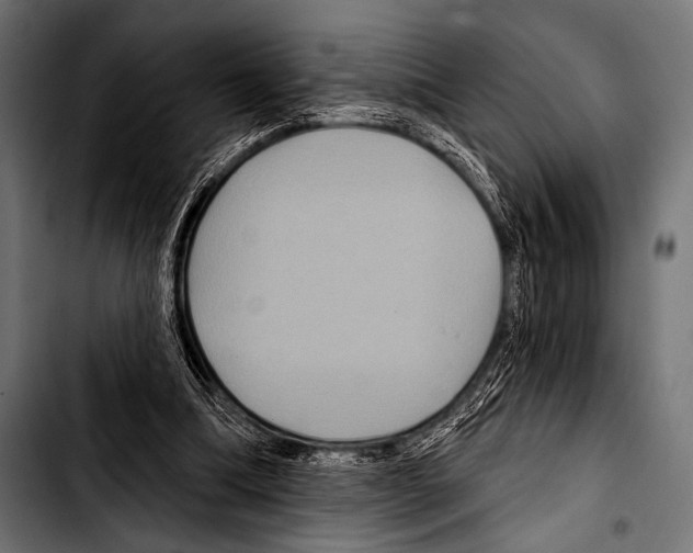 X0000103320298200810171408