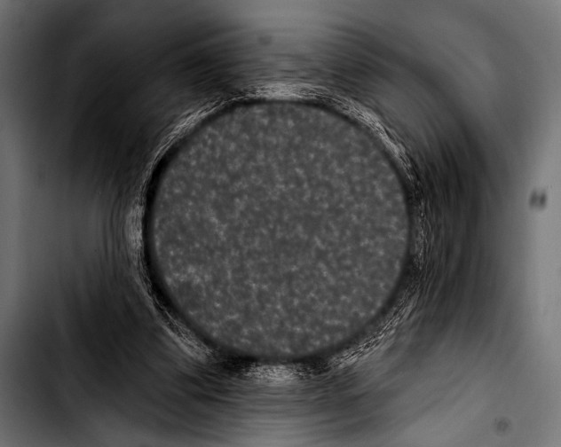 X0000103320299200810171408