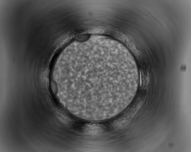 X0000103320300200810171408