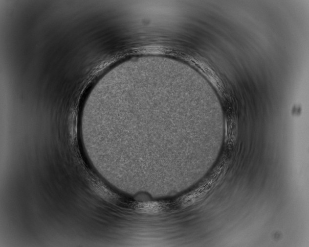 X0000103320301200810171408