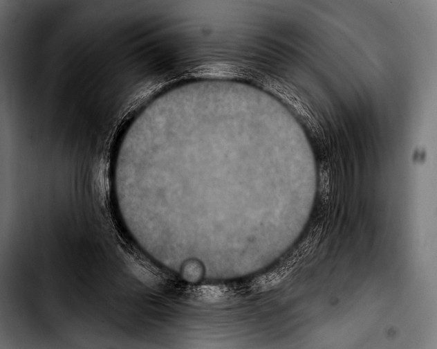 X0000103320302200810171408