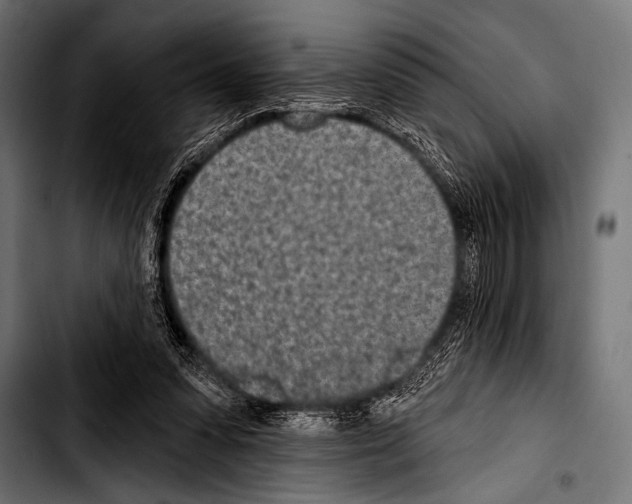 X0000103320303200810171408