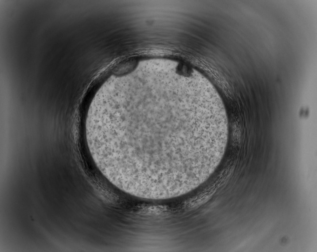 X0000103320304200810171408