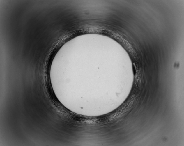 X0000103320306200810171407